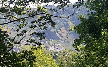 Viewing Traben Trarbach through branches, Germany. Flickr:Esther Westerveld