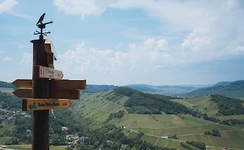 Viewpoint above Traben Trarbach, Germany. Flickr:Dolapo Falola
