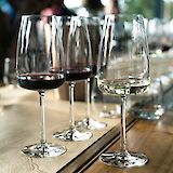 Glasses arranged for a wine tasting. Unsplash:Caroline Attwood