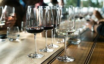 Glasses arranged for a wine tasting. Unsplash:Caroline Attwood