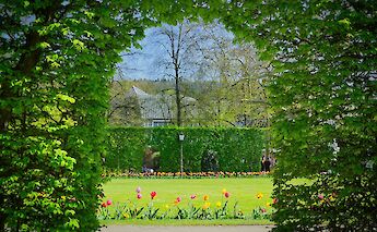 Natural arch in Trier, Germany. Unsplash:Tobias Schulz