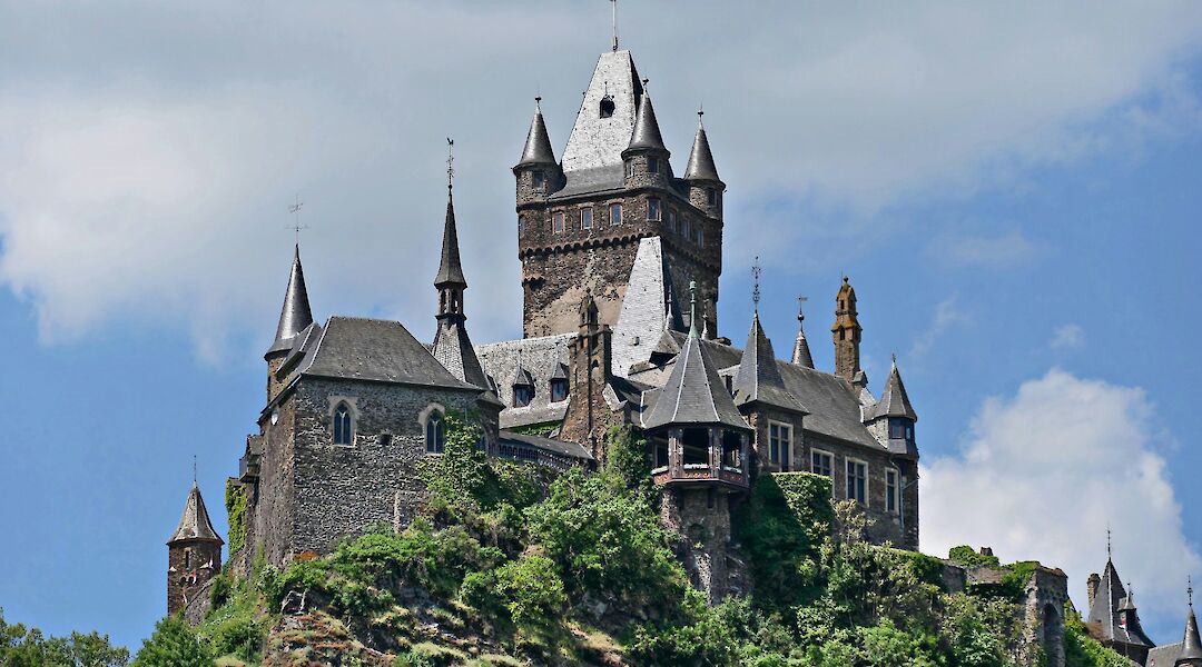 Trees around the base of the Reichsburg Castle, Cochem, Germany. Unsplash:Ben Berwers