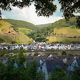 Viewing Zell through branches, Germany. Unsplash:Kiwihug