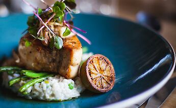 Fish and rice dish. Unsplash:Jessica Hearn