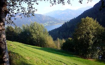 Hills of Zell, Germany. Flickr:Matthew Hutchinson