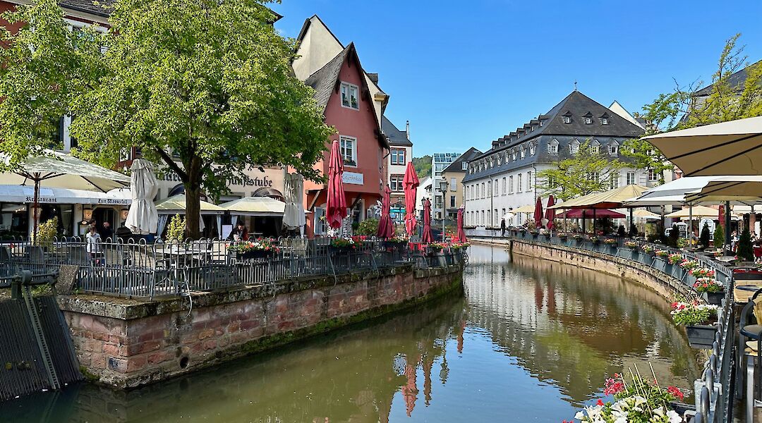 Flowers along the river, Saarburg, Germany. Flickr:Kathryn