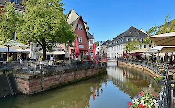 Flowers along the river, Saarburg, Germany. Flickr:Kathryn