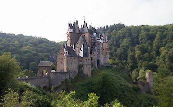 Trees surrounding Eltz Castle, Germany. Flickr:Tyler Brenot
