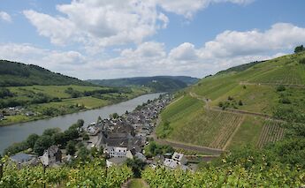 Vineyards above Zell, Germany. Flickr:jodage