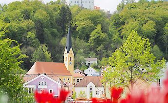 Red flowers in Riedenburg, Germany. Flickr:Darius Zylka