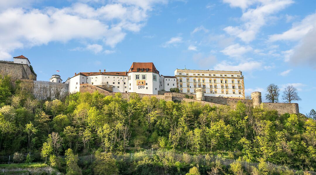 Trees growing on a hillside in Passau, Germany. Unsplash:Leonhard Niederwimmer