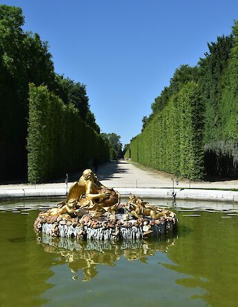 A detailed gold sculpture of mythological figures is set in a fountain at the gardens of Versailles, France.