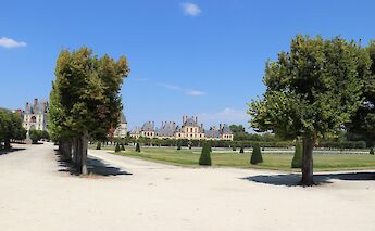 The expansive grounds of Fontainebleau Castle in France, featuring a tree-lined path and manicured lawns on a clear day.