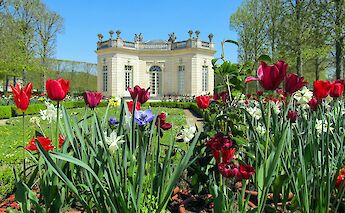 A garden in Versailles with vibrant tulips in the foreground and a classical building in the background.