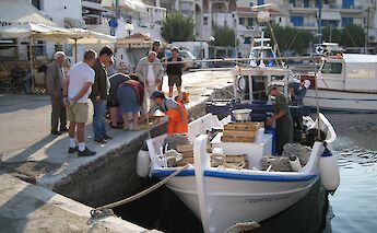 Talking to a local fisherman, Greece. CC:Island Hopping