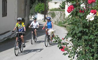 Three cyclists wearing helmets ride along a narrow road lined with flowering bushes in a village setting.