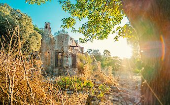 Ruins surrounded by vegetation and sunlight in Akyaka, Turkey.
