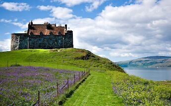 Duart Castle on the Isle of Mull, Scotland, set against a partly cloudy sky with purple flowers and a grassy path in the foreground.