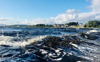 Waves in Oban, Scotland. Unsplash:Emma Kramer