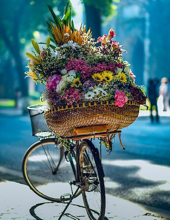 Bike with a basket full of flowers, Hanoi, Vietnam. Unsplash:Hai Tran