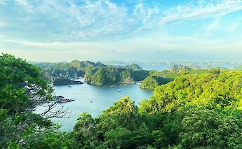 Lan Ha Bay, Vietnam. Unsplash:Ronin