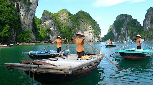 Traditional boats in Ha Long Bay, Vietnam. Unsplash:Gary Cacciatore