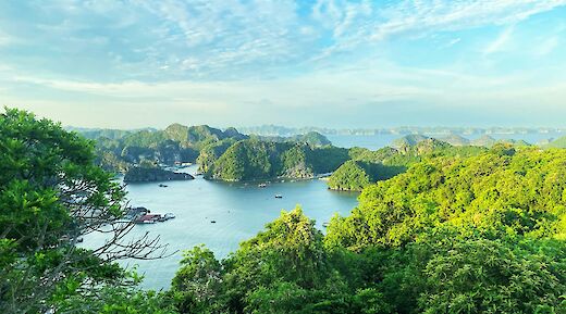 Lush foliage around Ha Long Bay, Vietnam. Unsplash:Ronin