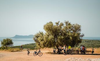 Having a break under a tree. CC:Kleomenis Koufaliotis