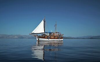 Panagiota from afar. CC:Tobias Lohmann