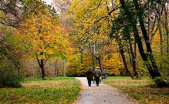 Fall colours in the English garden, Munich, Germany. Is@Unsplash