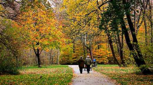 Fall colours in the English garden, Munich, Germany. Is@Unsplash