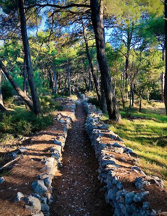 A path between walls, Losinj, Croatia. Unsplash:Arno Senoner