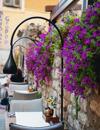 Purple flowers around a cafe, Zadar, Croatia. Unsplash:Nazrin Babashova