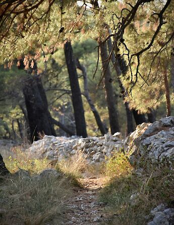 Small brick wall, Losinj, Croatia. Unsplash:Arno Senoner