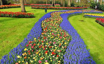 Brightly colored flowers bordered by blue blooms in a manicured garden setting.