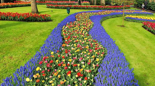 Brightly colored flowers bordered by blue blooms in a manicured garden setting.