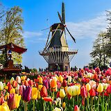 Windmill in Keukenhof Gardens, Holland. Unsplash:AXP Photography