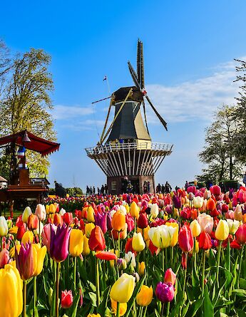 Windmill in Keukenhof Gardens, Holland. Unsplash:AXP Photography