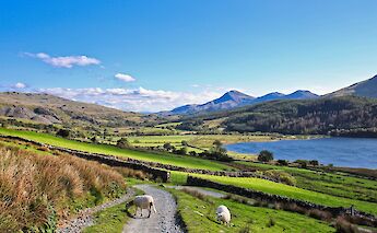 Bucolic views in Snowdonia.