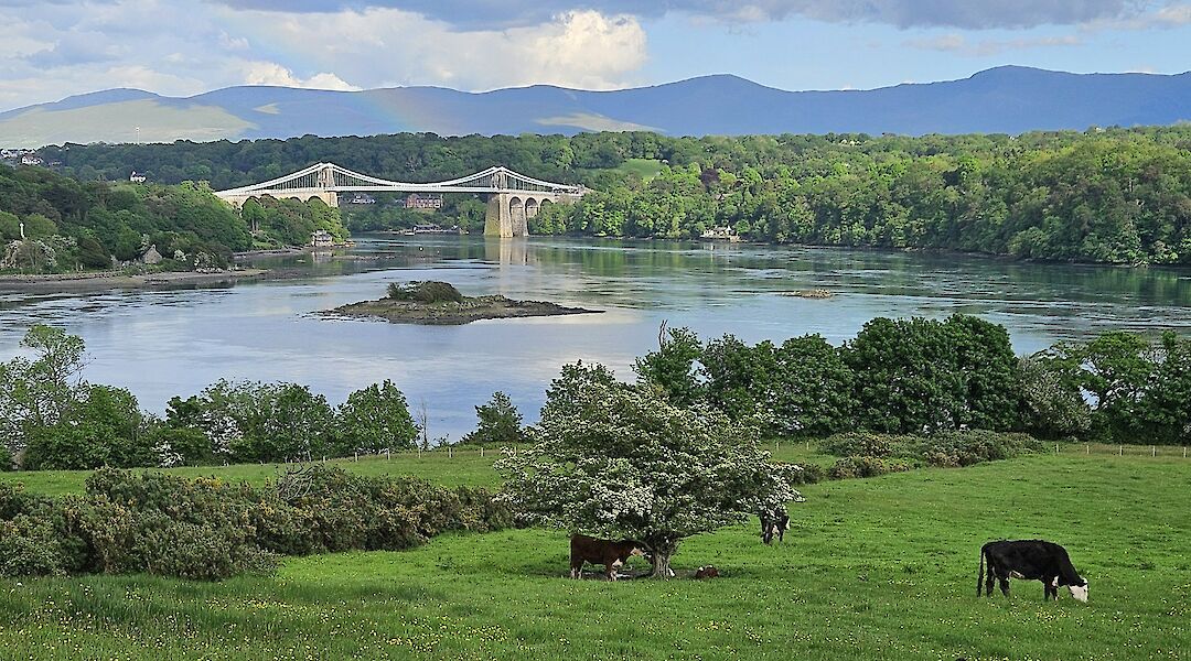 Bucolic views in Anglesey, Wales. LisaCopner@unsplash