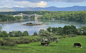 Bucolic views in Anglesey, Wales. LisaCopner@unsplash