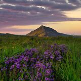 Snowdon, Wales. RichardBanton@flickr