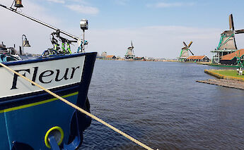 The Fleur at Holland's windmills