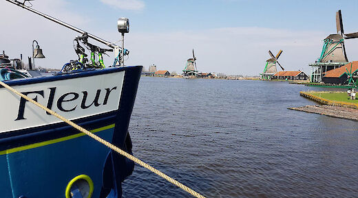 The Fleur at Holland's windmills