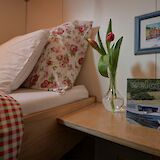 Tulips in the cabins
