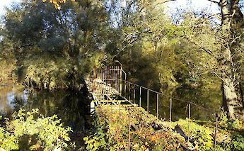 Bridge in Montargis, France. Flickr:David Fleg