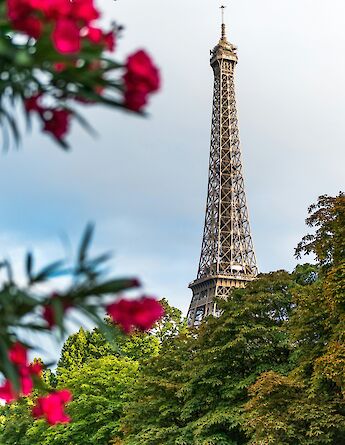Eiffel Tower framed by red flowers, Paris, France. Unsplash:Jacob Peters