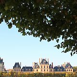 Palace of Fontainebleau framed by a tree, France. Unsplash:Mili K