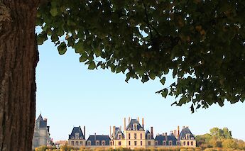 Palace of Fontainebleau framed by a tree, France. Unsplash:Mili K