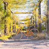 Cycling through vineyards. Edgar Chaparro@unsplash